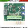ANALIZZATORE-X-RIVEL