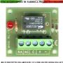 RELE-POLARIZZATO-12-